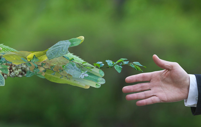 Add Image Description